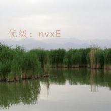 Ŭ