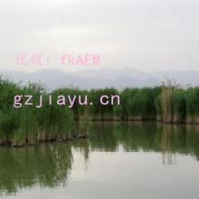 ɱ