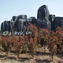 ̬